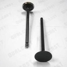 Load image into Gallery viewer, Dodge/Cummins 5.9L 24V Black Lightning Diesel Performance Valves
